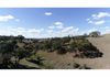 86 Frewin Road, Orange