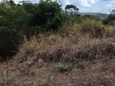 13 Buhmann Street, Cooktown