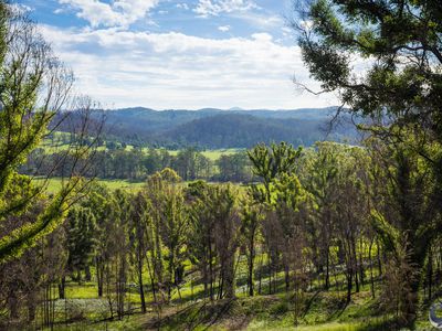 81 Waincourt Road, Eurobodalla