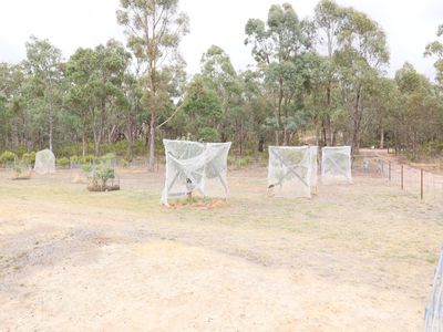 575 Hardings Lane, Tooborac