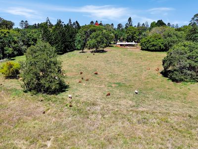 238 Ball Road, Peeramon