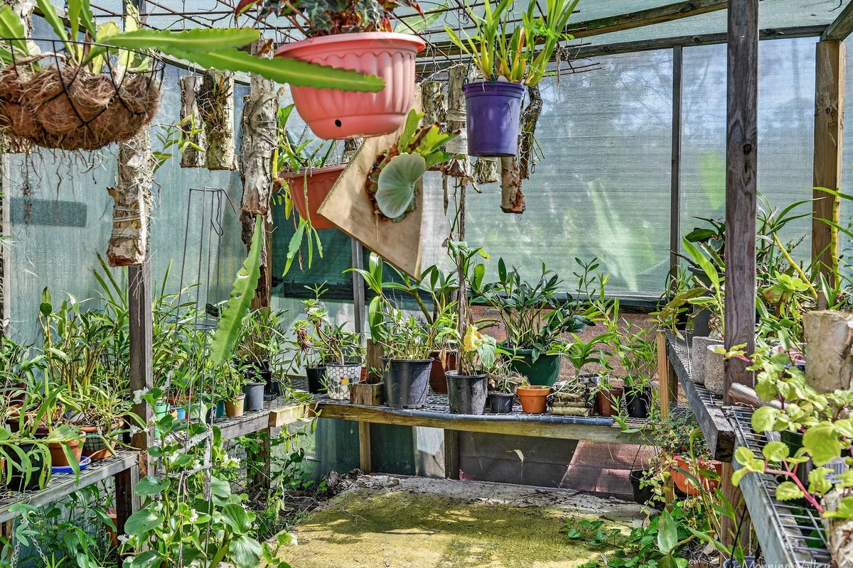 1550 Nowendoc Road, Mount George