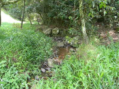 126-162 Reesville Road, Maleny