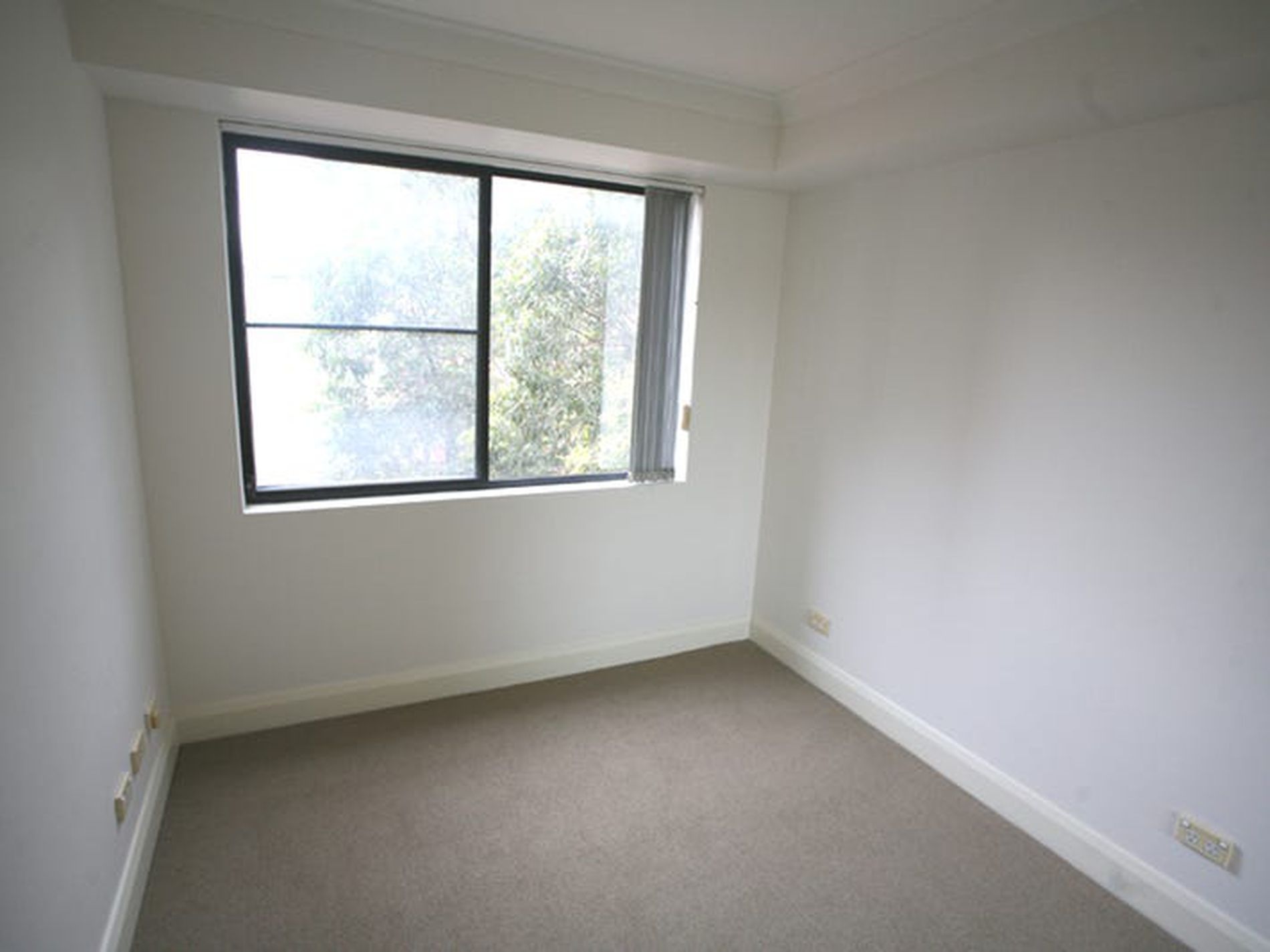 43 / 558 Jones Street, Ultimo