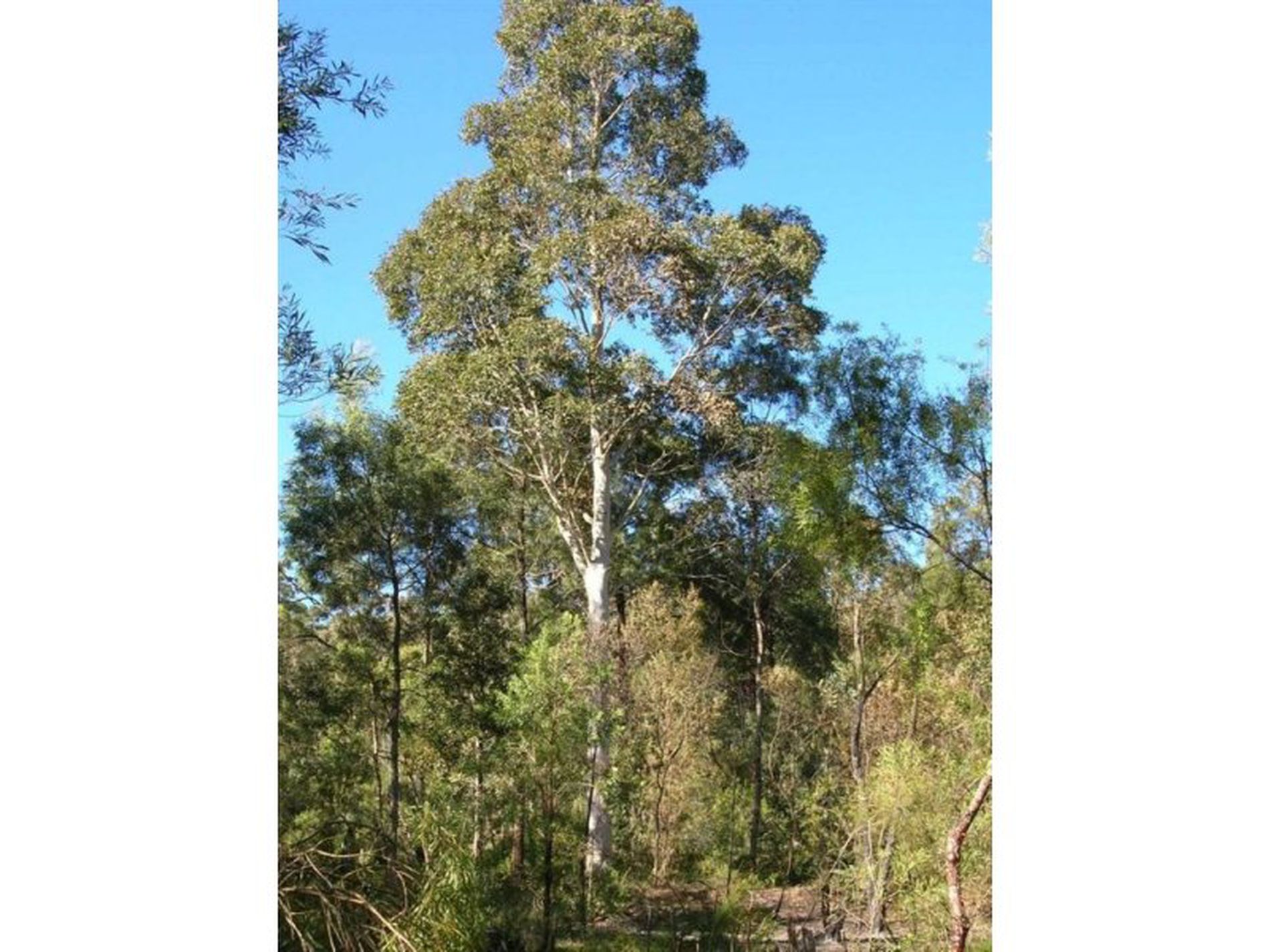 650E 650E Woodburn Road, Milton