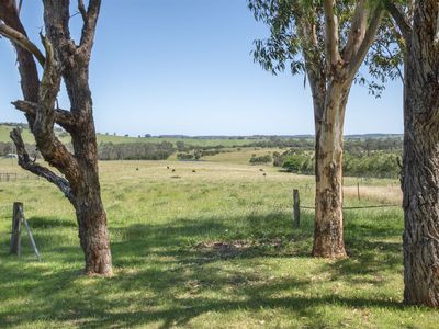 45 Little Forest Road, Little Forest