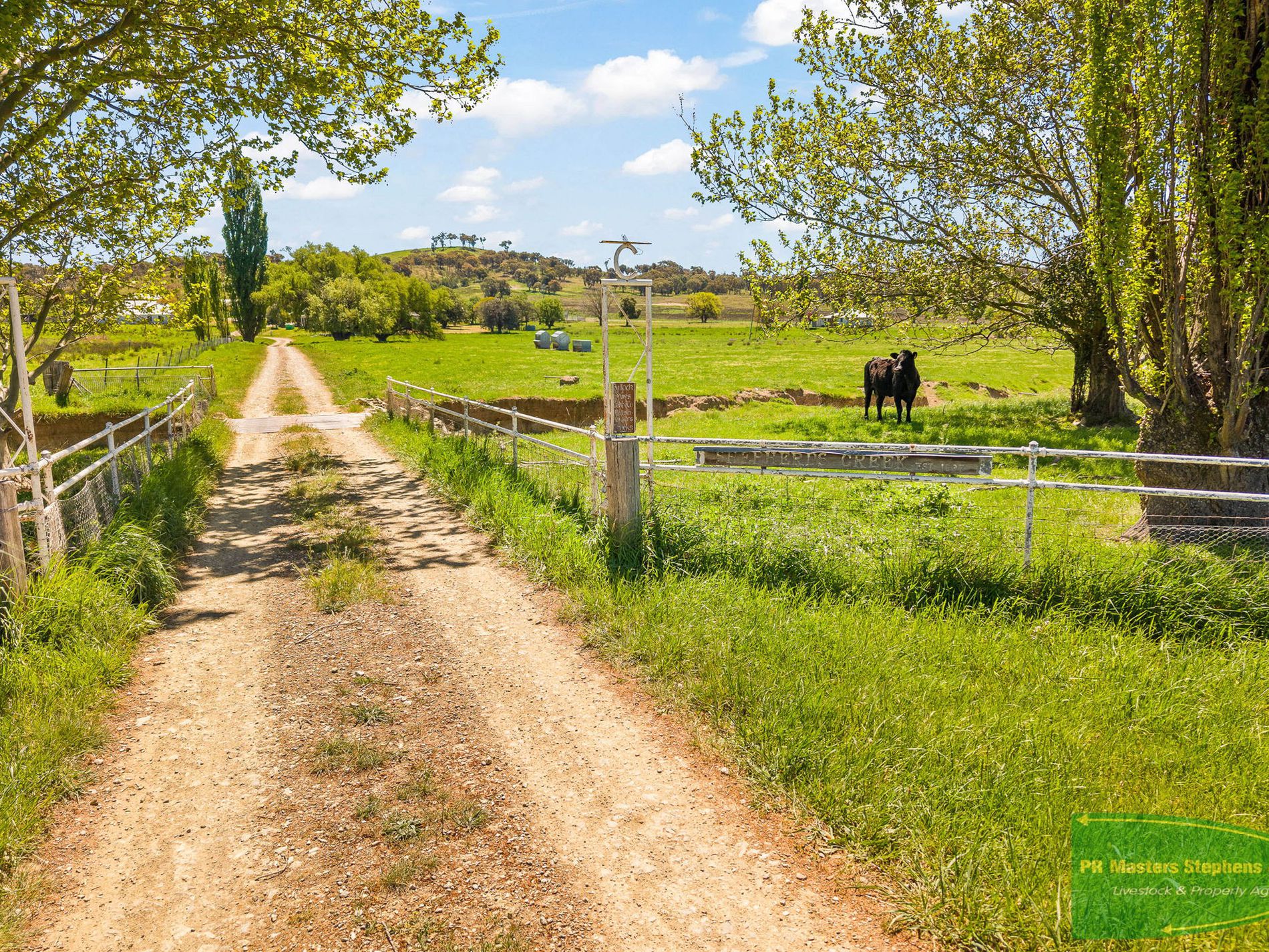 351 Shepherds Creek Road, Euchareena