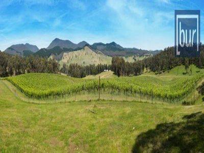 3143 Jingellic Road, Lankeys Creek