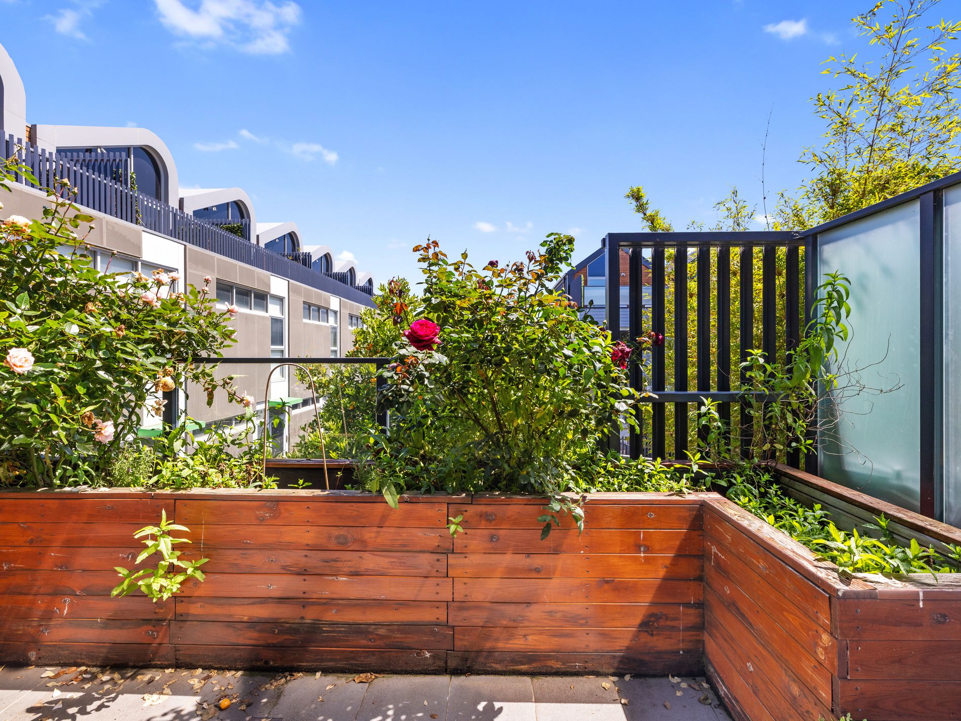 19 / 89-93 Stevedore Street, Williamstown