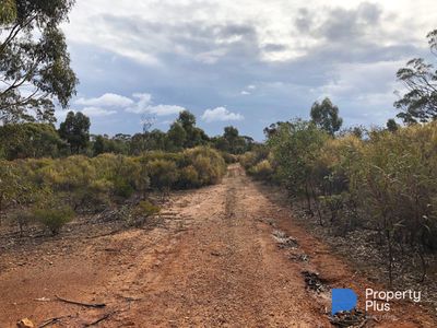 60D Mt. Kerang Road, Buckrabanyule