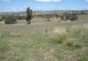 Lot 101, 2187 Euchareena Road, Molong
