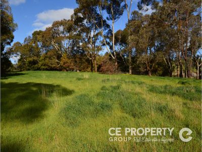 38 Hollands Creek Road, Cudlee Creek