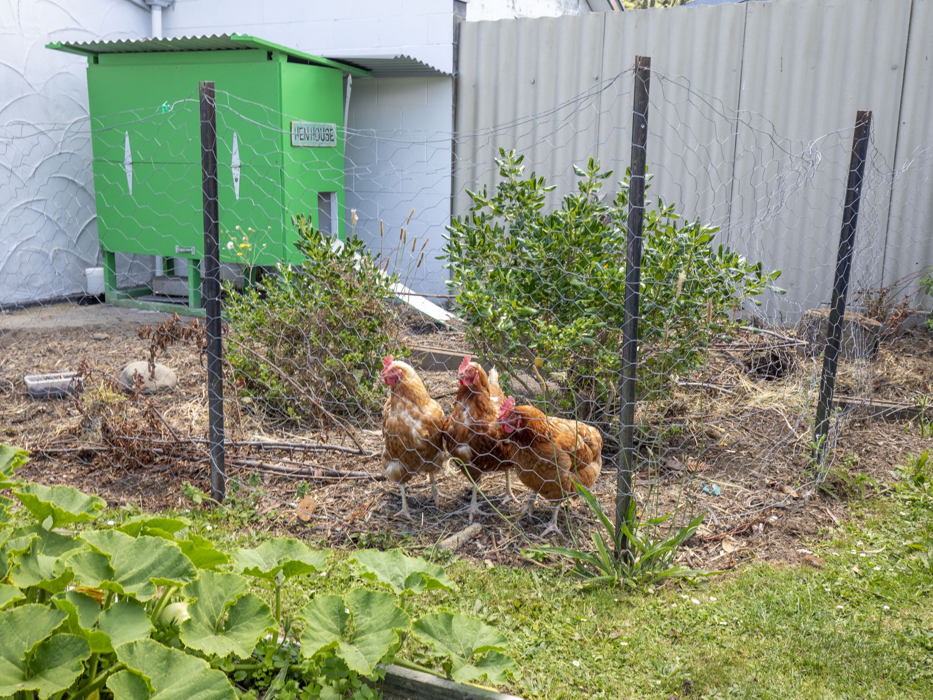 186 California Drive, Totara Park