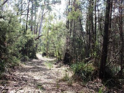 Land Off Steeles Road, Nicholls Rivulet