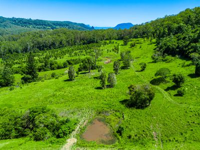 1740  Nimbin Road, Koonorigan