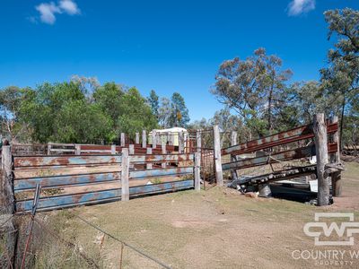 1043 Wallangra Road, Wallangra