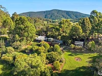 64 Brushgrove Lane, Corunna