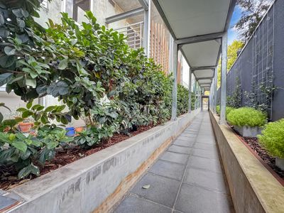 19 / 355 Rathdowne Street, Carlton