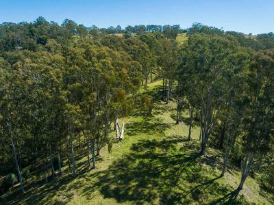 112 Homeleigh Road, Homeleigh via, Kyogle