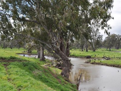 Snowdons Road, Bonegilla
