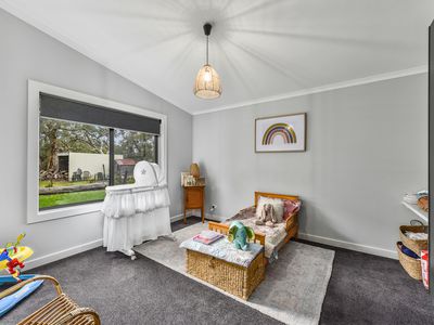 169 Williams Road, Millicent