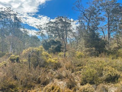 331L Arthurs Lake Road, Arthurs Lake