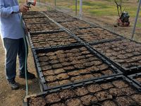 181 Patrick Estate Road, Patrick Estate