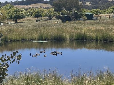 'Rose Cottage' 75 Lawrie Road, Beechworth
