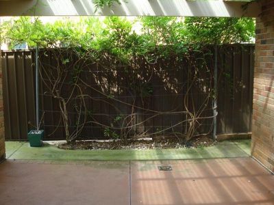 2 / 8 Helen Street, Warilla