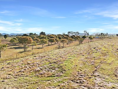 12924 Bruce Highway, Foxdale