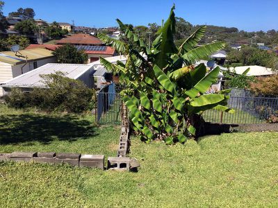4 Alice Street, Forster