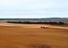 188 Huckel Road, Karte