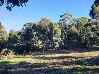 7 Amelia Street, Gordon