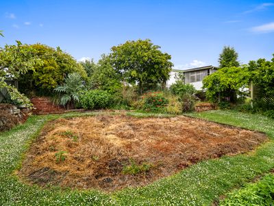 24 Roseness Street, Palmerston