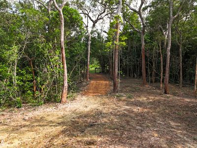 506 Cameron Creek Road, Cooktown