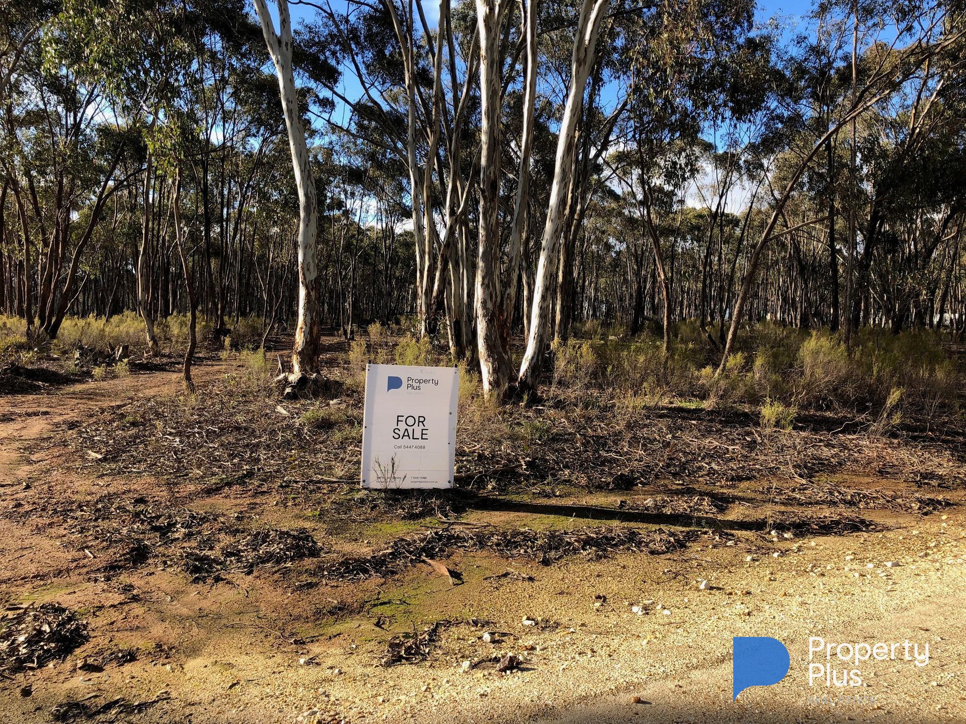 59 Palmer Road, Simson