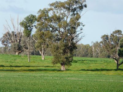 Tocumwal