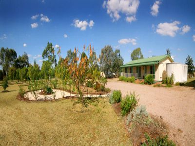 25 CARLYON AVE, Gunnedah