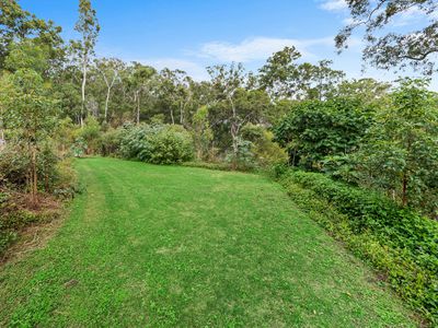 31 Oystercatcher Court, Upper Coomera