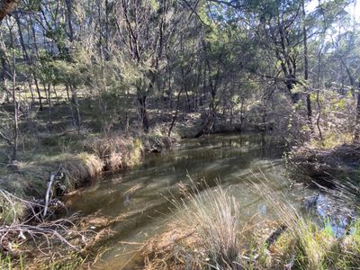 464 Cookanulla Road, Braidwood