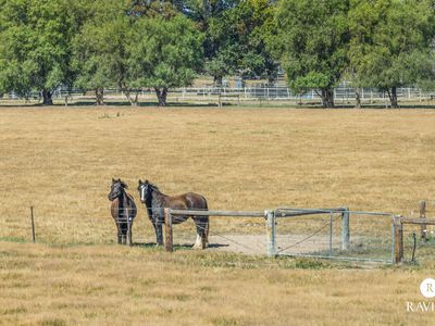 353 Lyons Road, Tarrawingee