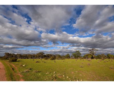 190 Battans Road, Sedan