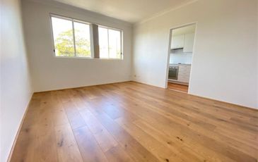3 / 48 Carrington Road, Randwick