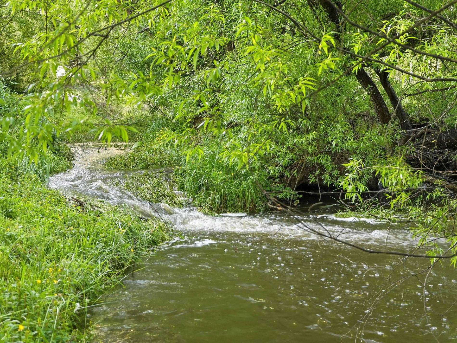 160 Lucaston Road, Lucaston