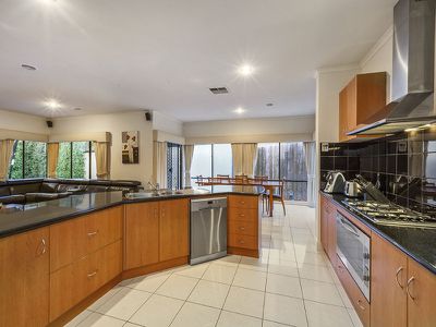 8 Virgillia Street, Blackburn North
