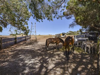 32 Edwards Lane, Millicent