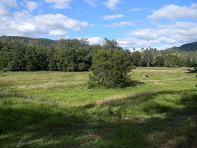 323 Coonoongibber Creek Road, Brooloo