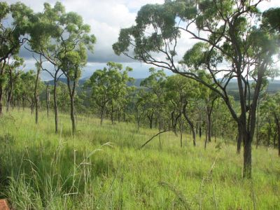 Mareeba