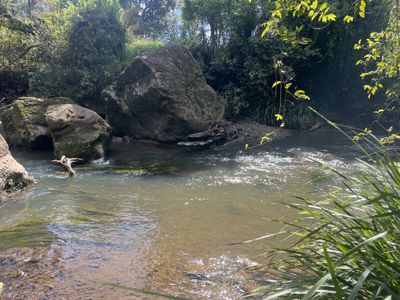 1855 Nimbin Road, Coffee Camp