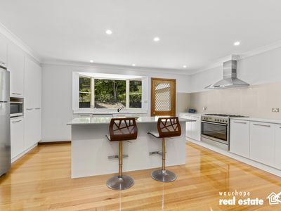 77 Albert Street, Kendall